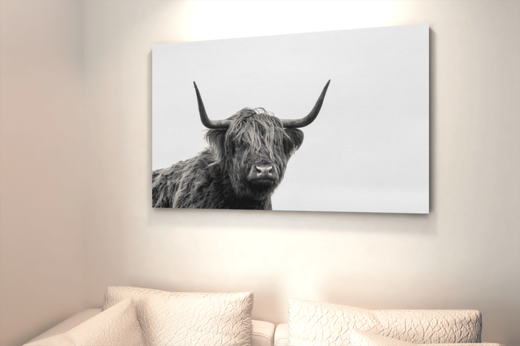 ALIVA 1035 Hoogland vee canvas schilderij d