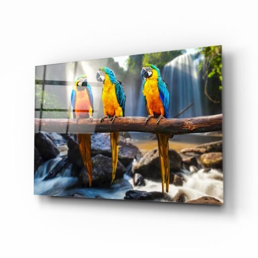 Papegaaien Vogel Glasschilderij
