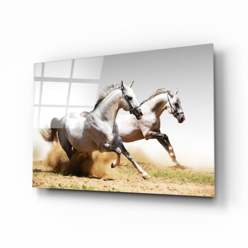 Glasschilderij Paarden Wit