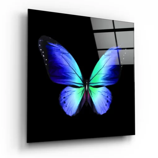 Glasschilderij Dieren Elegantie van de vlinder-KGLS-4051